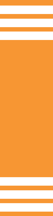 Detalhe Laranja